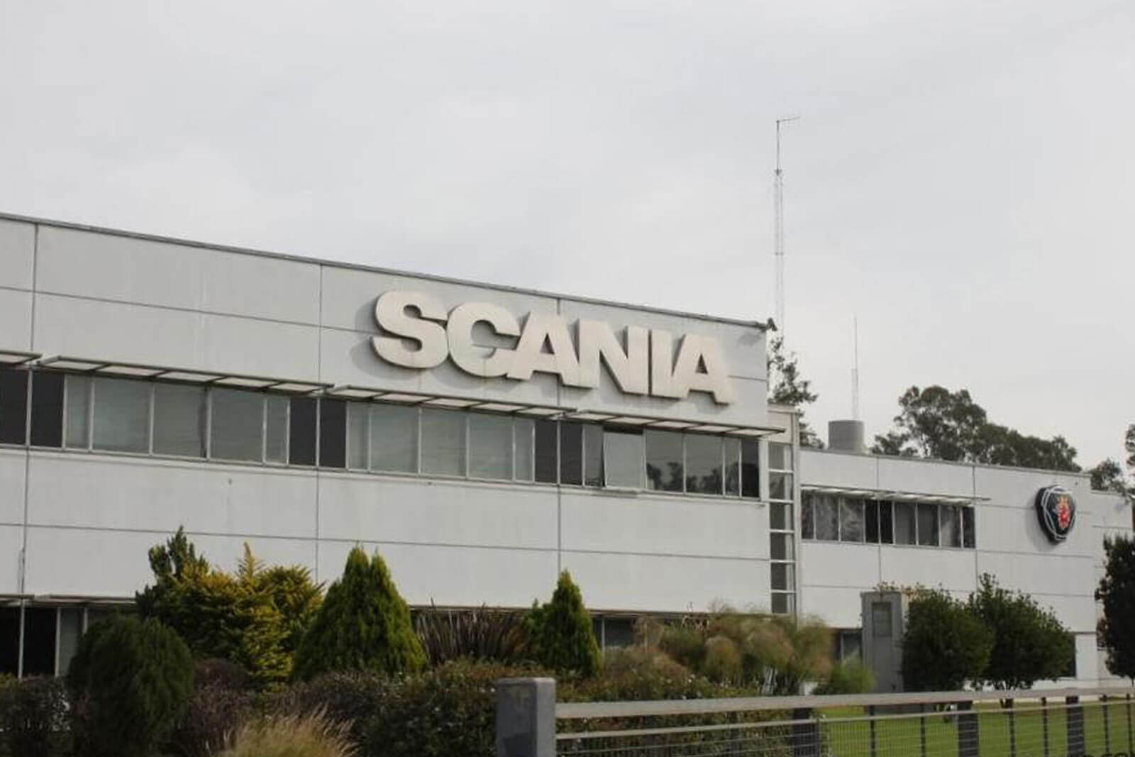 Scania - Cuzzuol